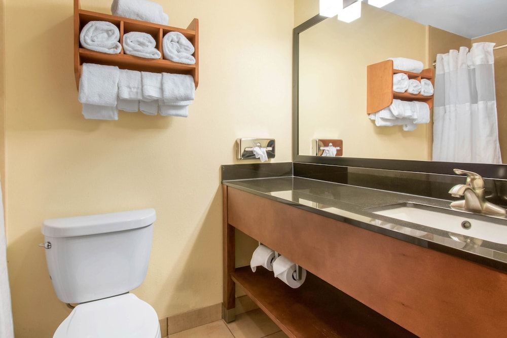 Bathroom, Clarion Hotel & Suites University - Shippensburg