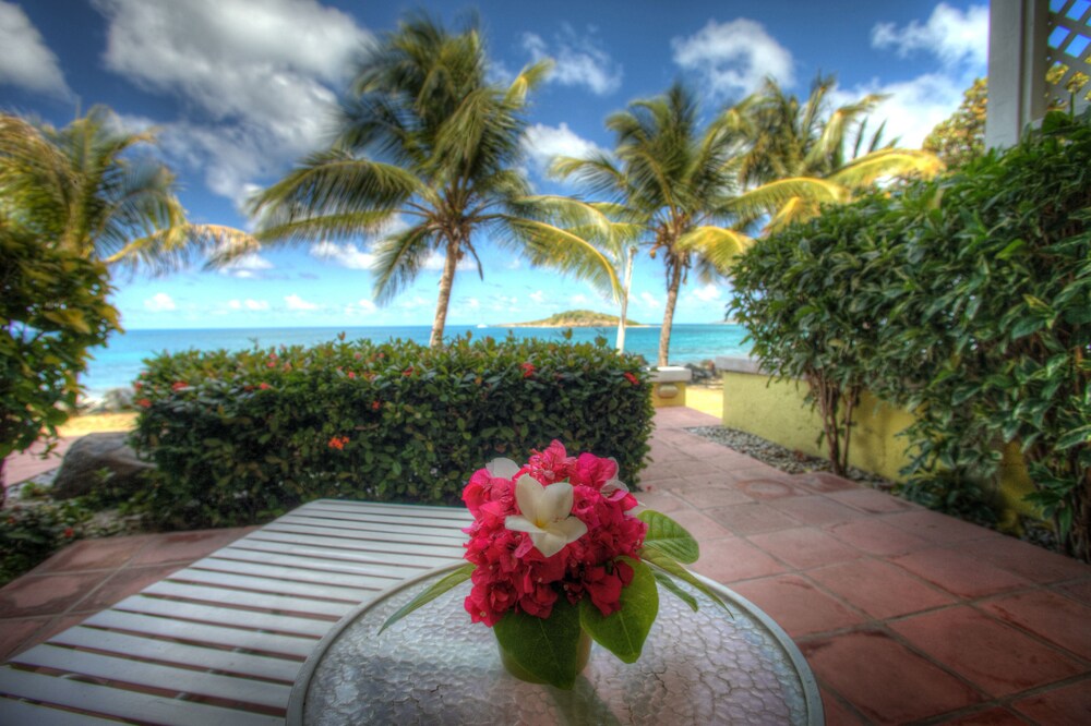 Tamarind Reef Resort Spa & Marina in Christiansted Best Rates & Deals