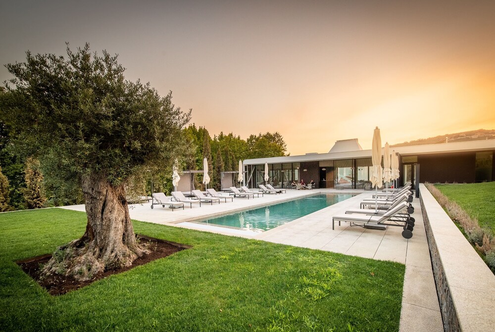 The Wine House Hotel Quinta da Pacheca in Lamego Best Rates & Deals