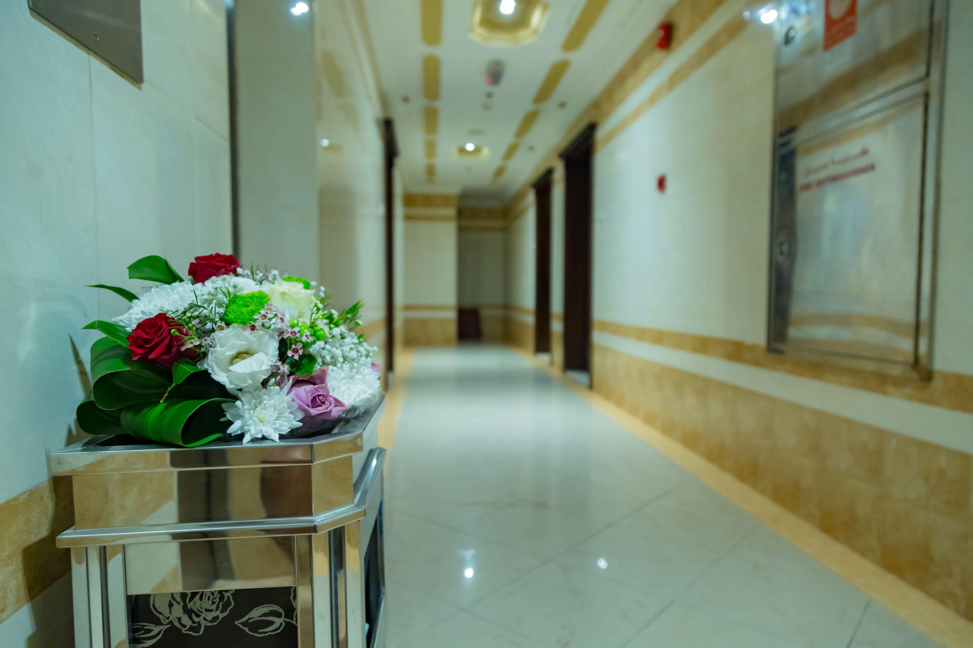 Dream Palace Hotel in Ajman, United Arab Emirates