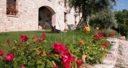 Le Mandrie di San Paolo - Farm Home