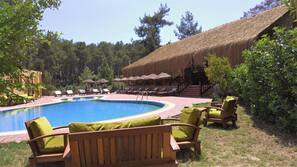 Outdoor pool, free pool cabanas, pool umbrellas