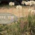 Clifftop Boutique Accommodation in Smiths Beach, Australia