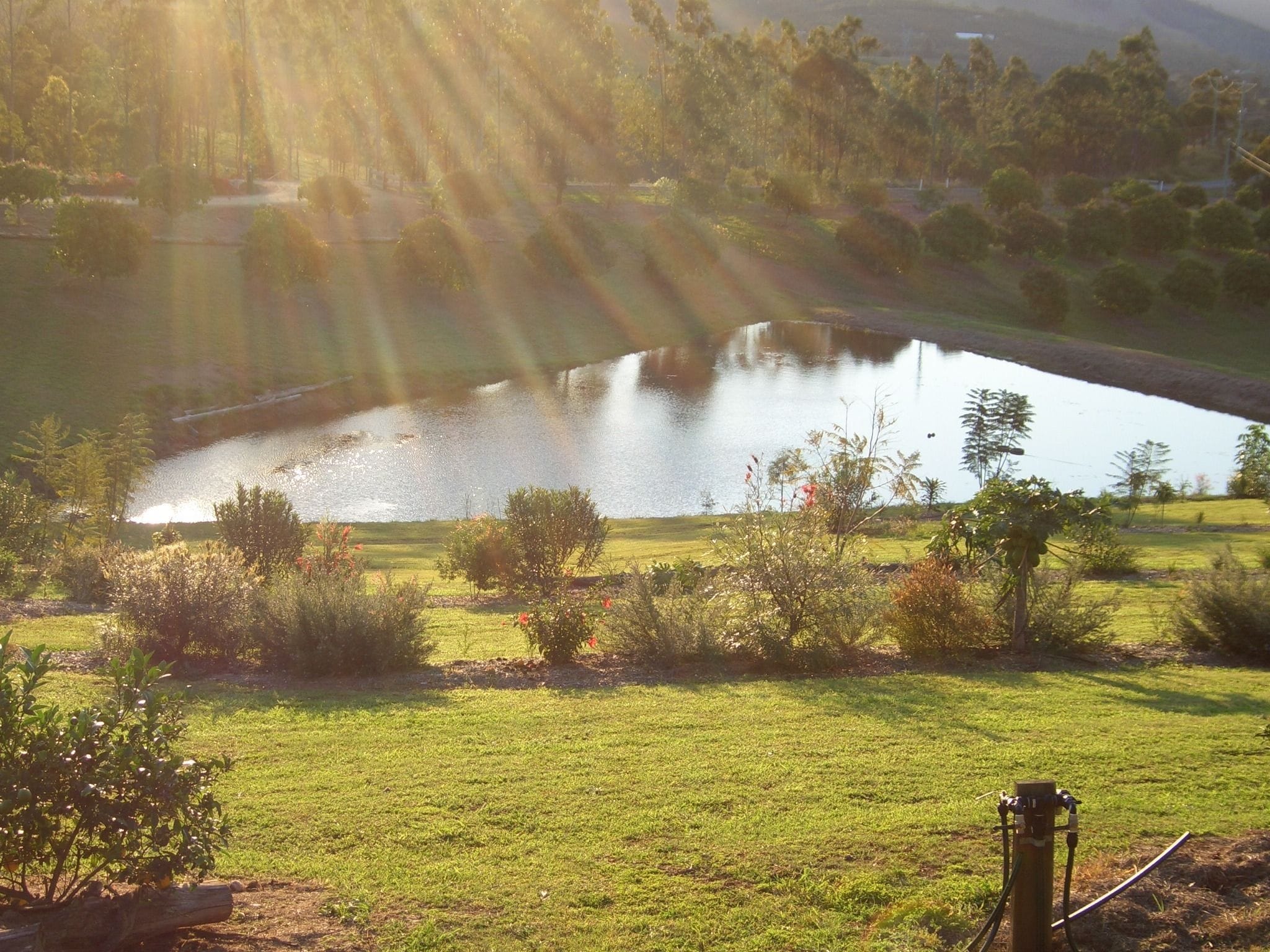 Amamoor Homestead B&B and Country Cottages