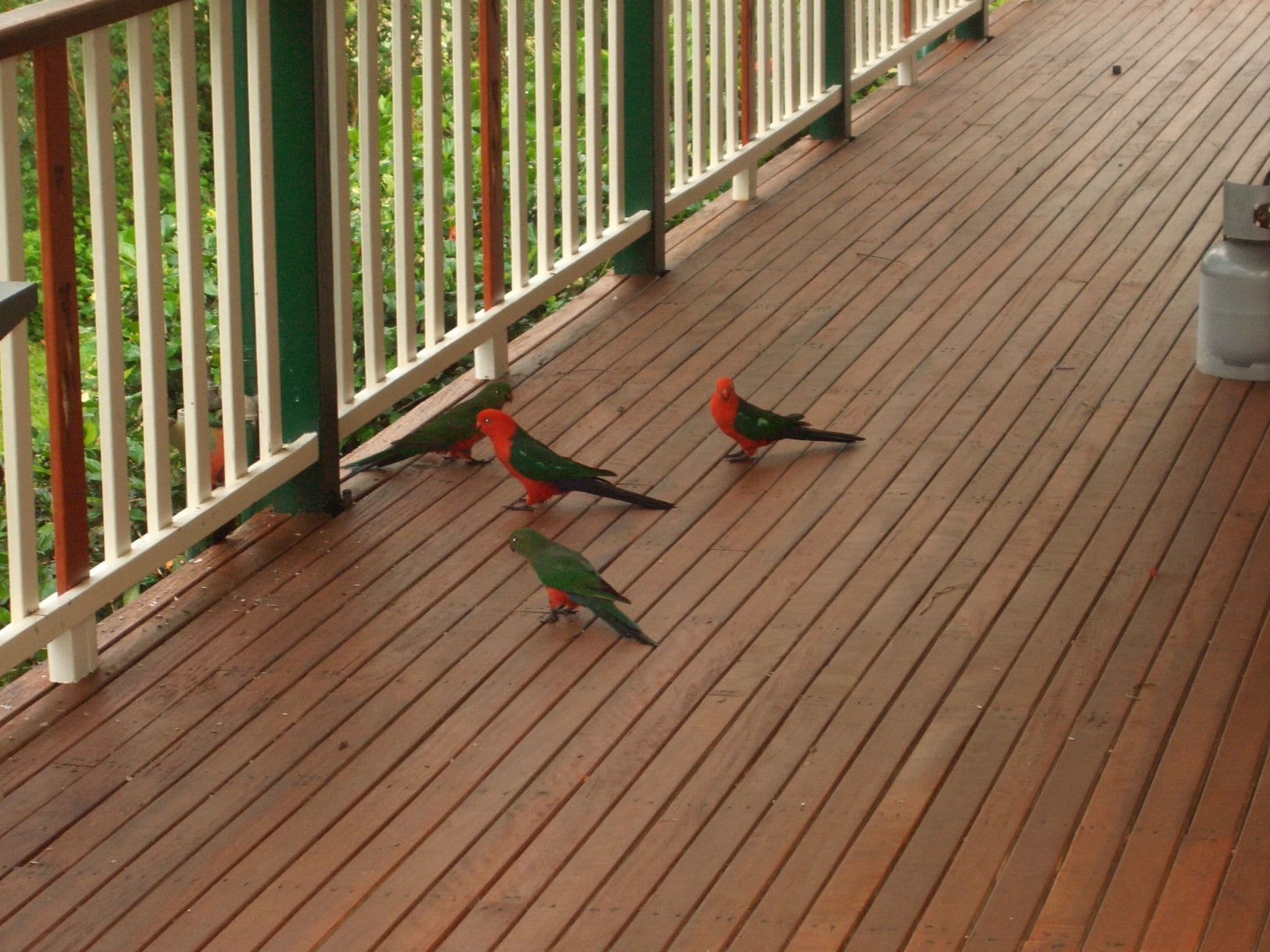 Amamoor Homestead B&B and Country Cottages