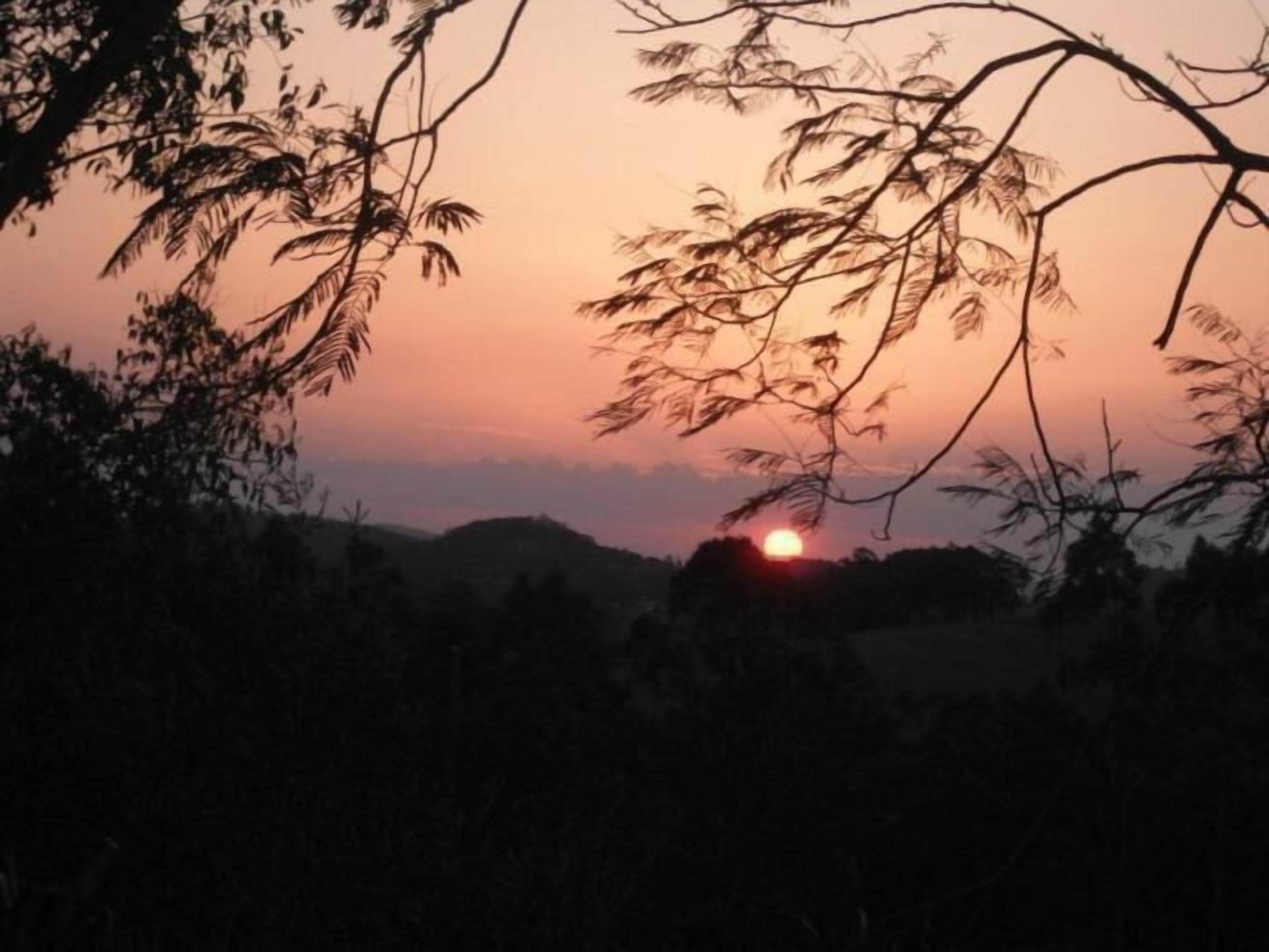 Amamoor Homestead B&B and Country Cottages