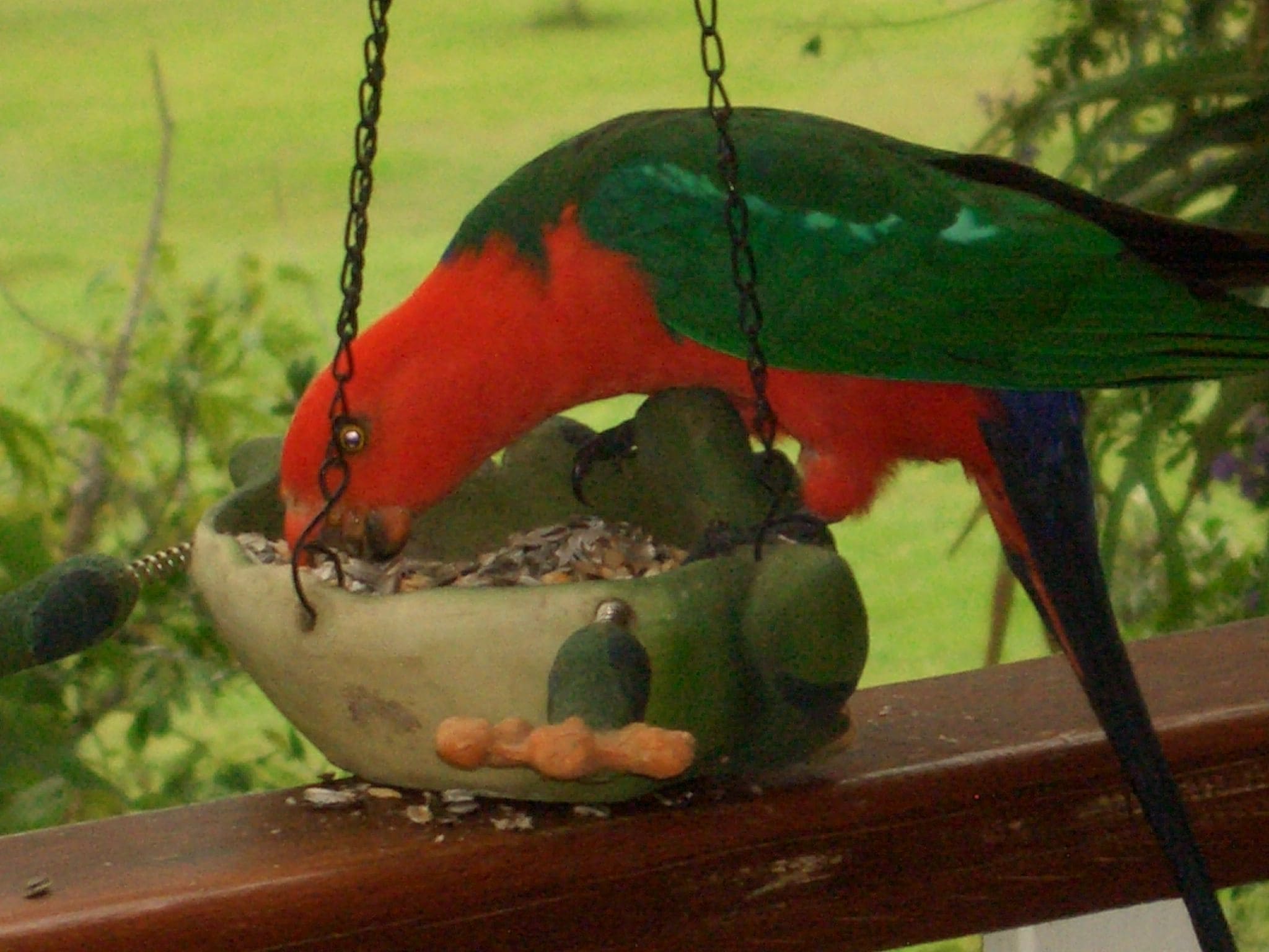 Amamoor Homestead B&B and Country Cottages