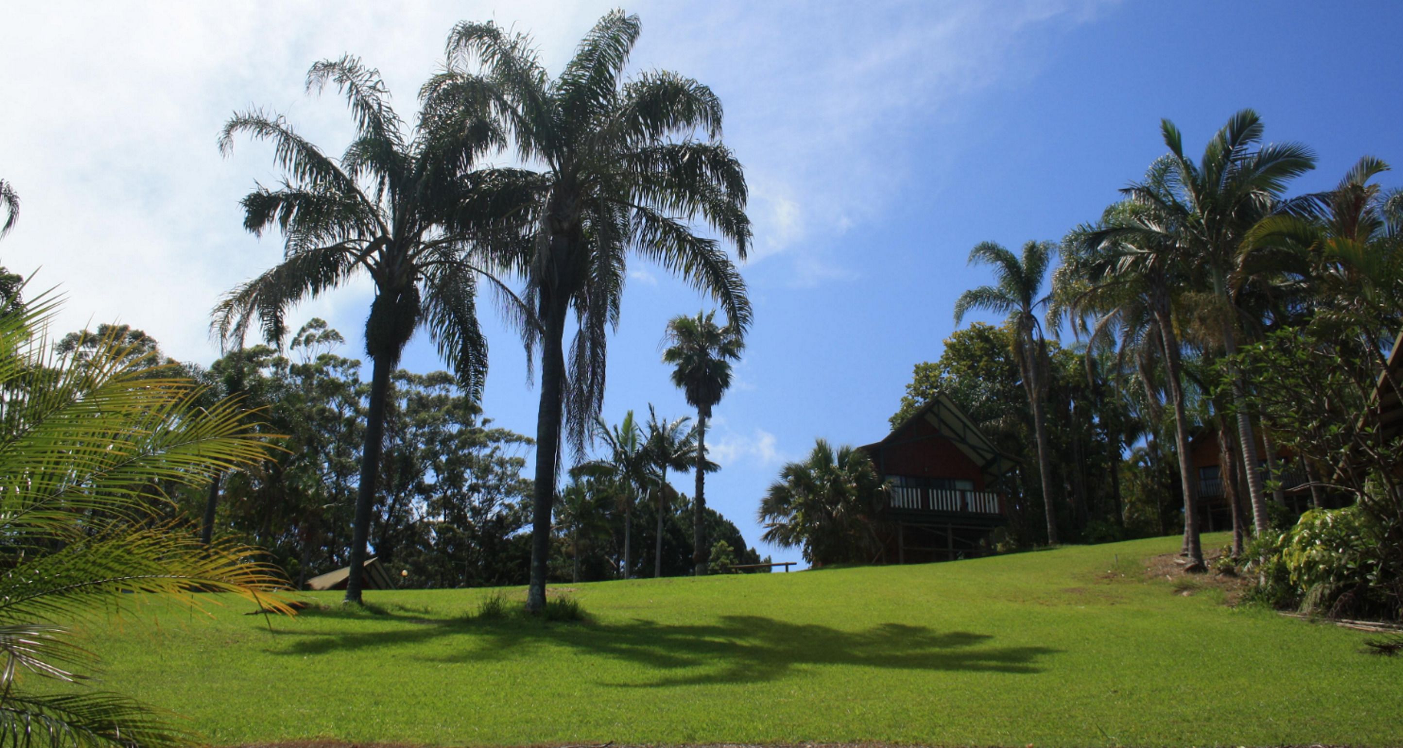 Paradise Palms Resort