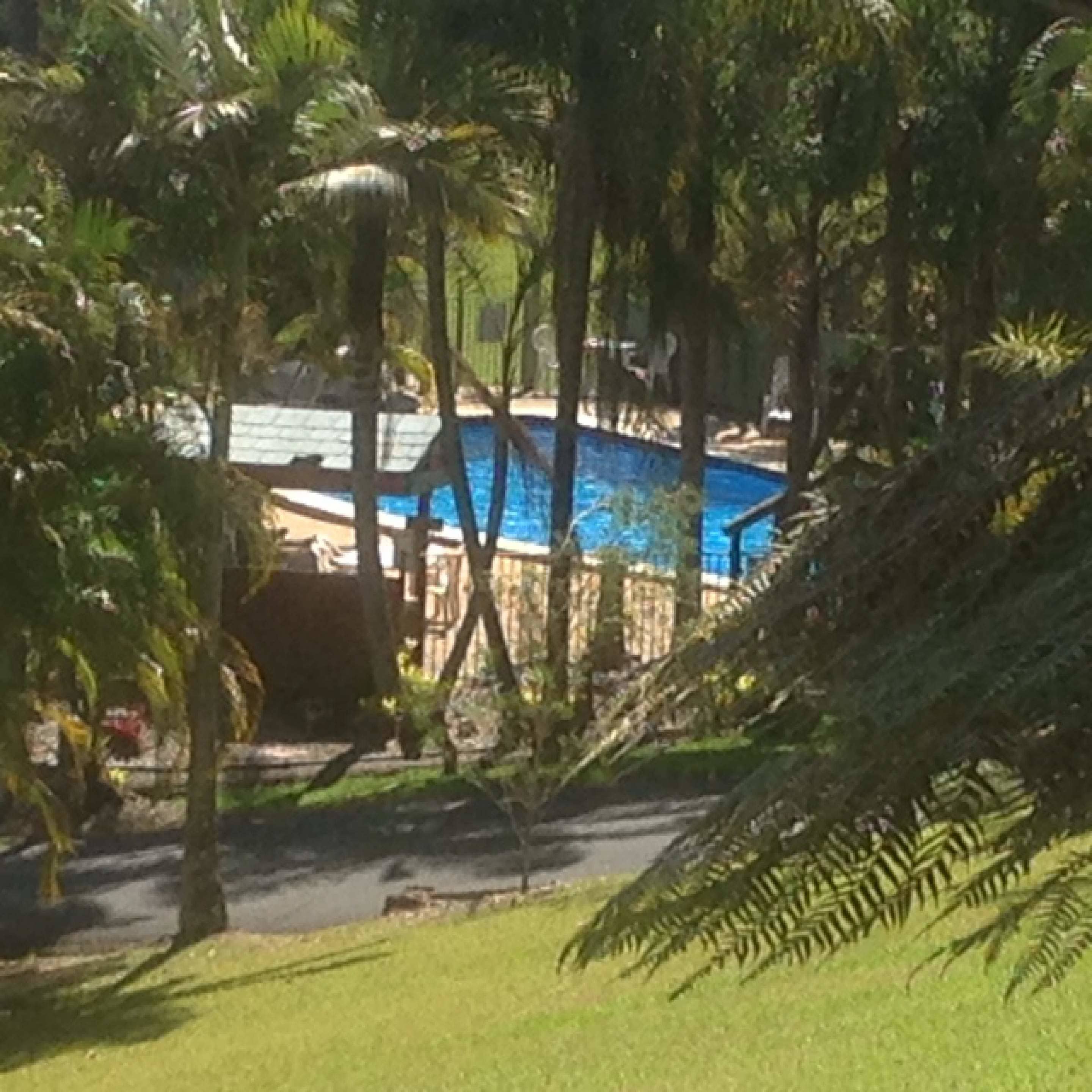 Paradise Palms Resort