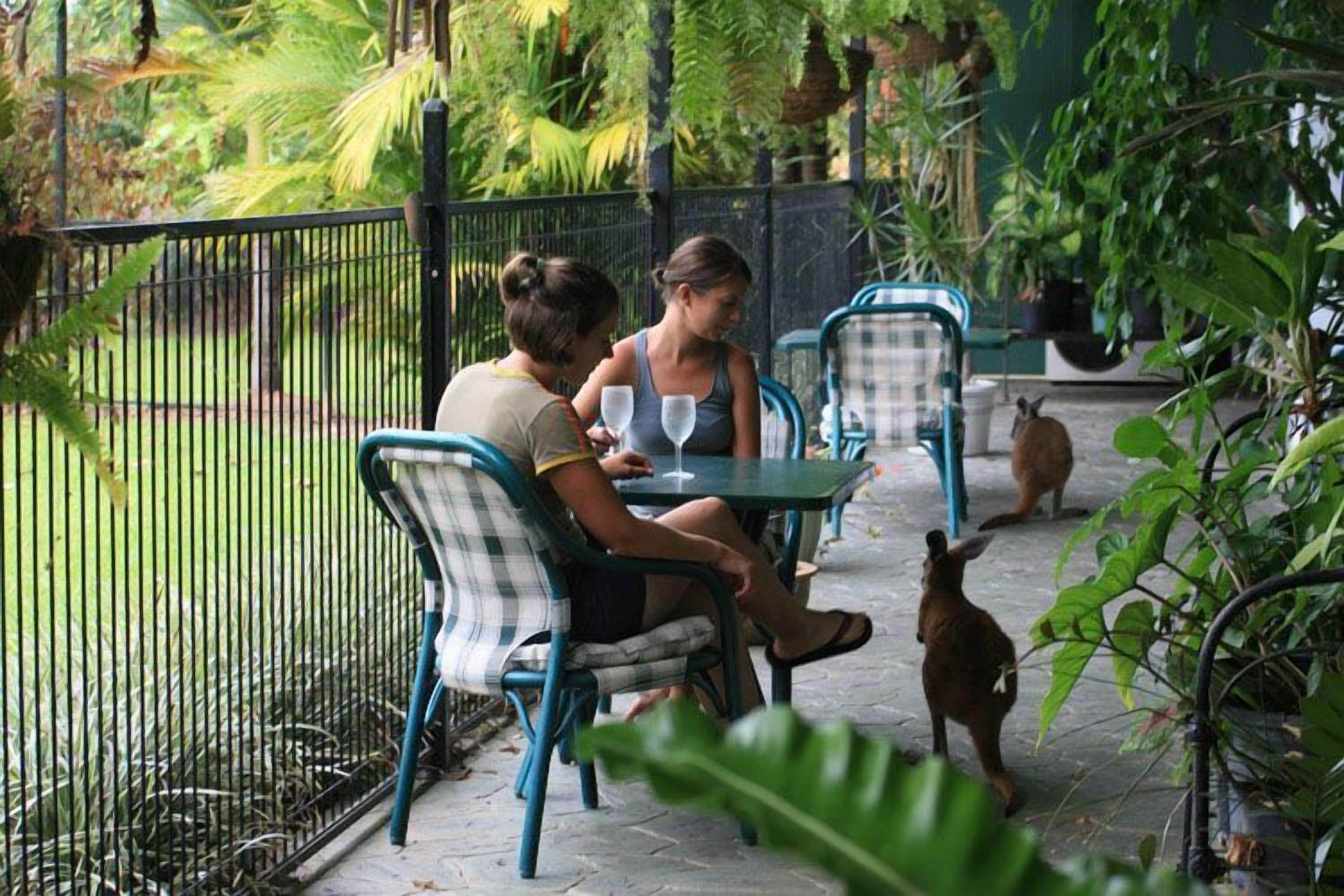 Daintree Wild Zoo & Bed and Breakfast