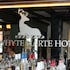 Whyte Harte Hotel