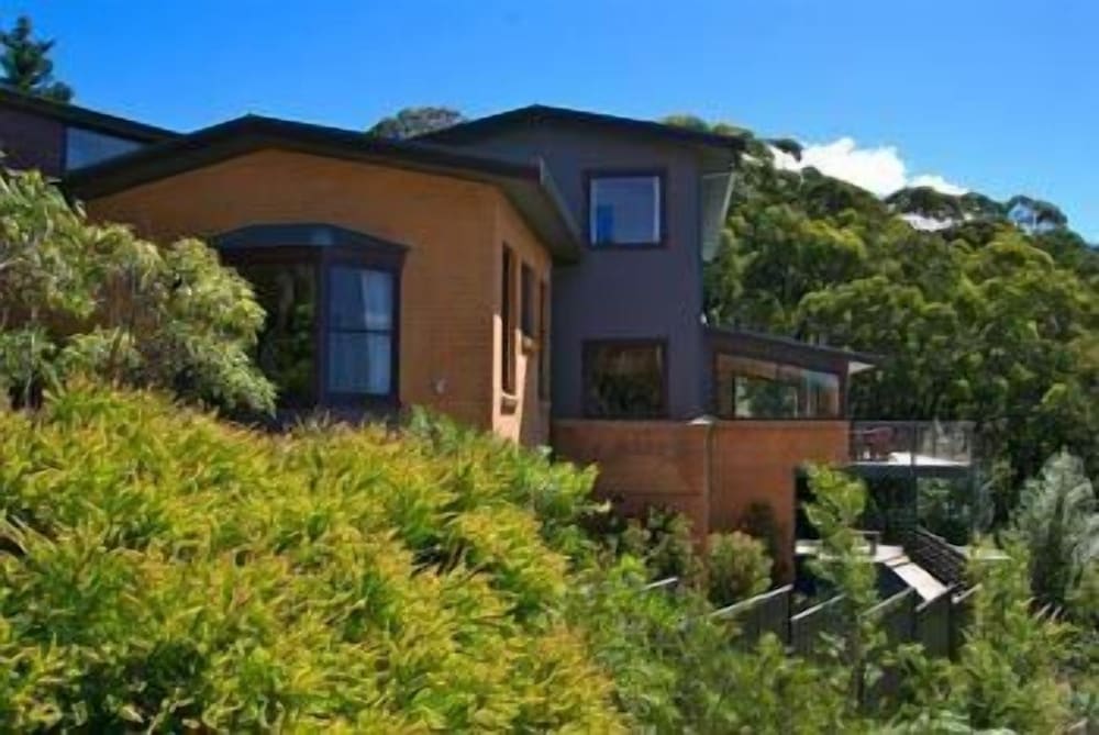 Bodhi View