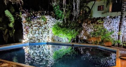 Baldwin's Guest House Cozumel