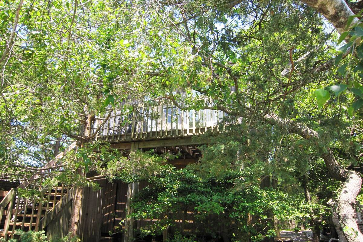 Treetop Oasis In The Heart Of Fair Harbor Fire Island In Bay Shore Ny Expedia