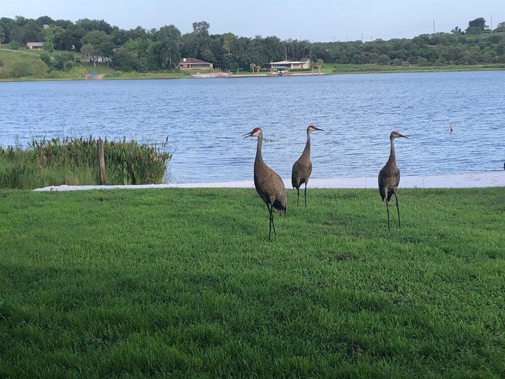 Beautiful home on Crooked Lake- perfect for families or couples getaway