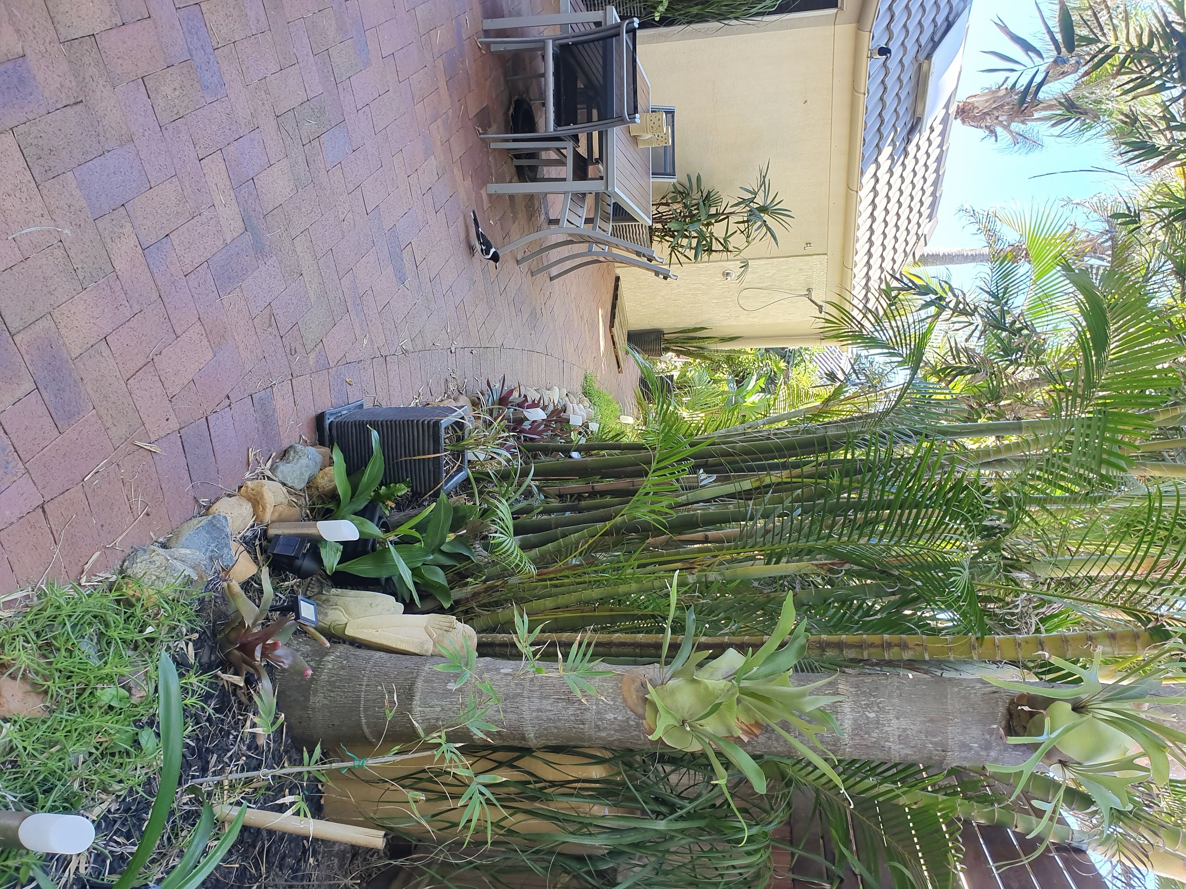 Peregian Beach holiday rental