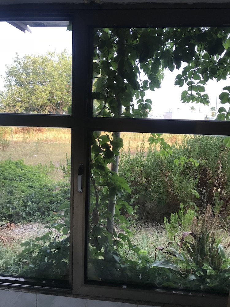 Foto - CAMP&HOSTEL Antalya