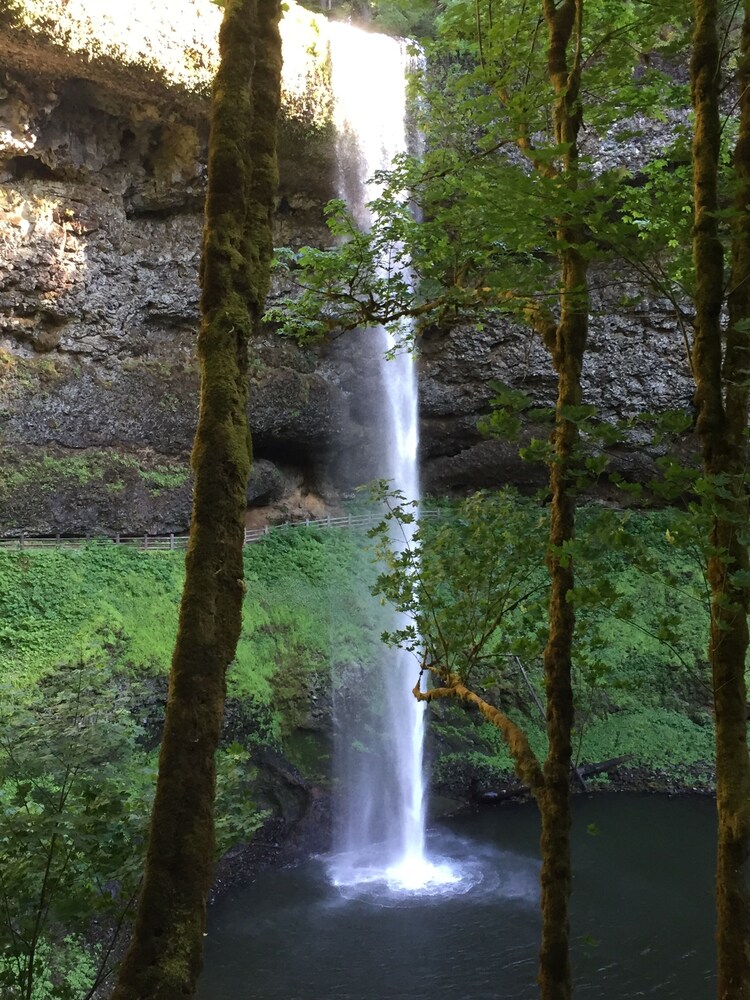 Silver Falls State Park Hotels : Smith Creek Village Venue Sublimity Or Weddingwire / Maybe you would like to learn more about one of these?