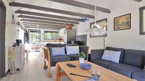 Fernseher, Kamin, DVD-Player