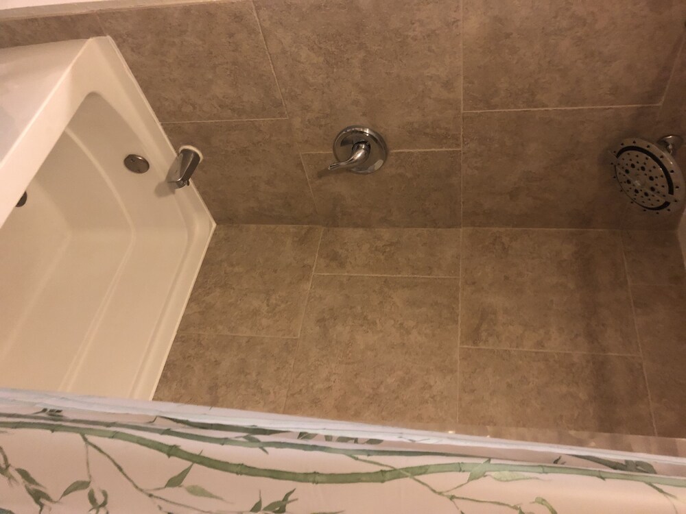 Bathroom, Private in-house apartment near campus