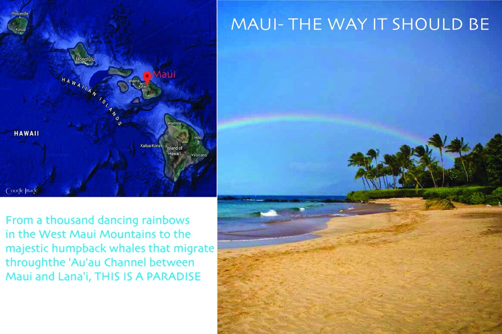 Maui Hyatt Residence Club Ka Anapali Beach 2 Bedroom Condo