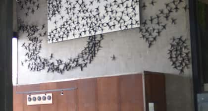 Hangar Inn Select Aeropuerto Guadalajara