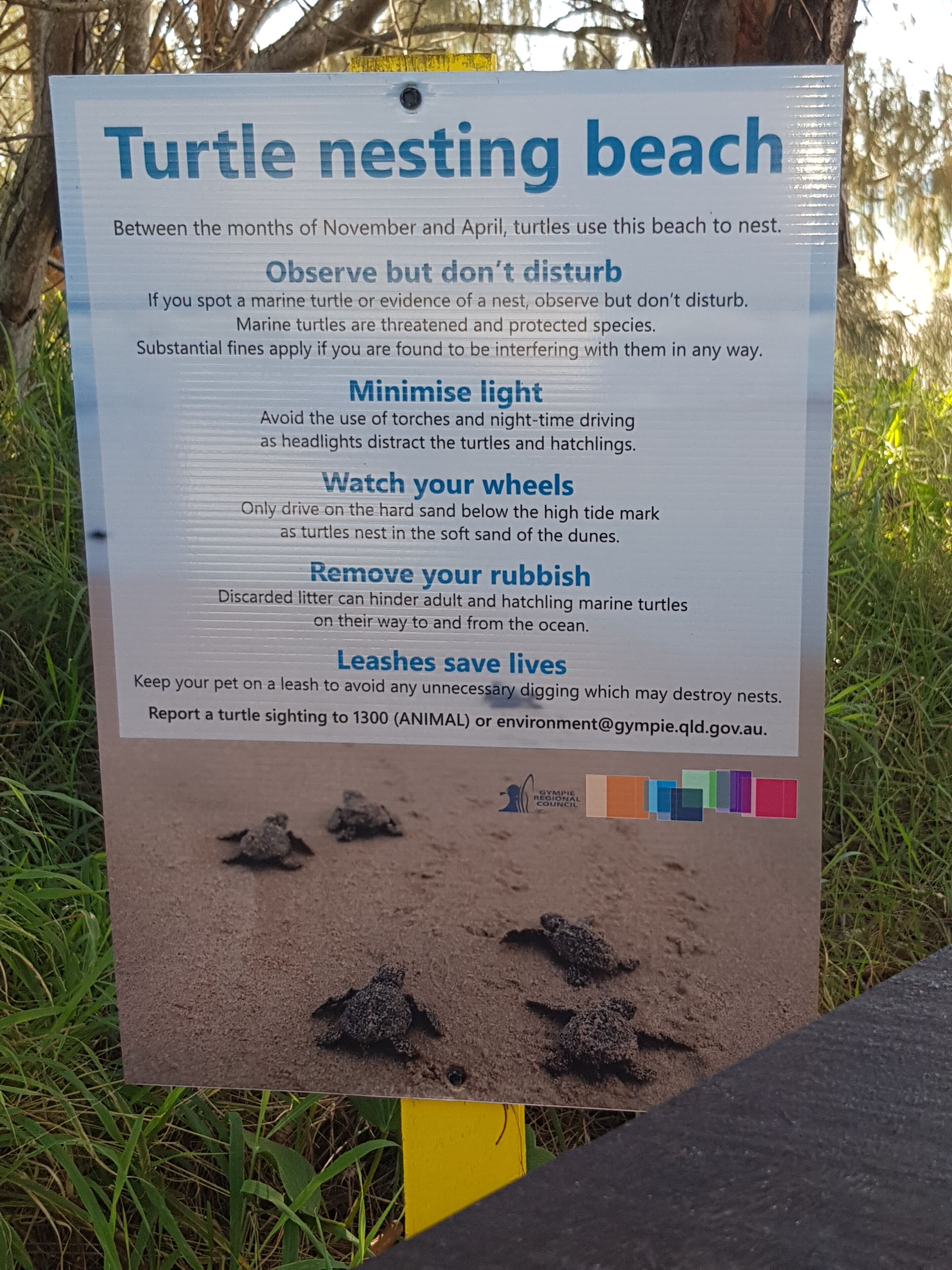 Cooloola Cove Stylish Guest House  Breakfast Unlimited Wifi Netfix