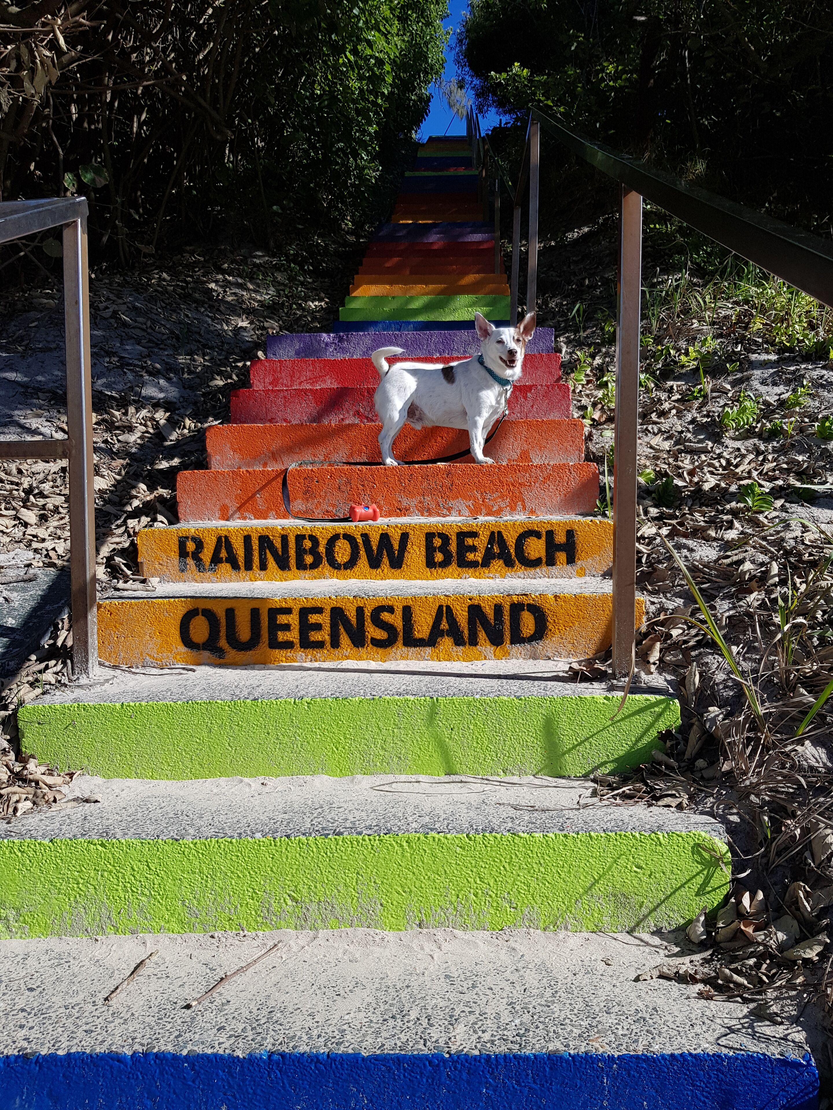 Cooloola Cove Stylish Guest House  Breakfast Unlimited Wifi Netfix