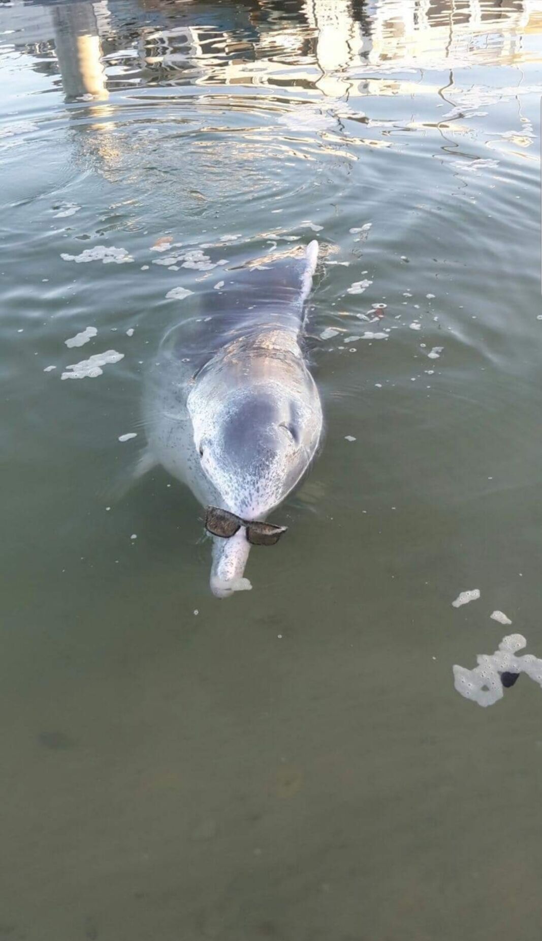 Cooloola Cove Stylish Guest House  Breakfast Unlimited Wifi Netfix