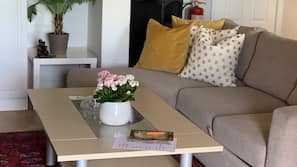 TV, DVD-spiller og filmbibliotek