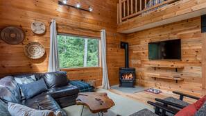 TV, fireplace, DVD player, books