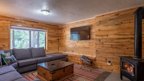 TV, fireplace, DVD player, books