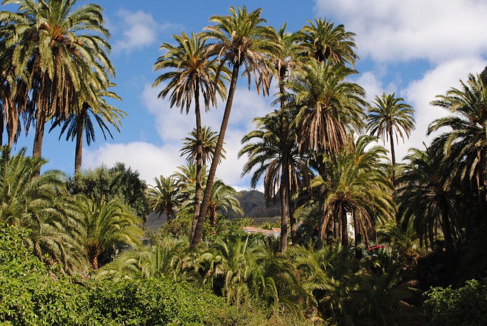 Photo - Casa Rural El Palmeral del Valle