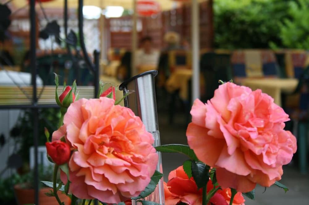 Photo - Hotel Restaurant Haus Odendahl