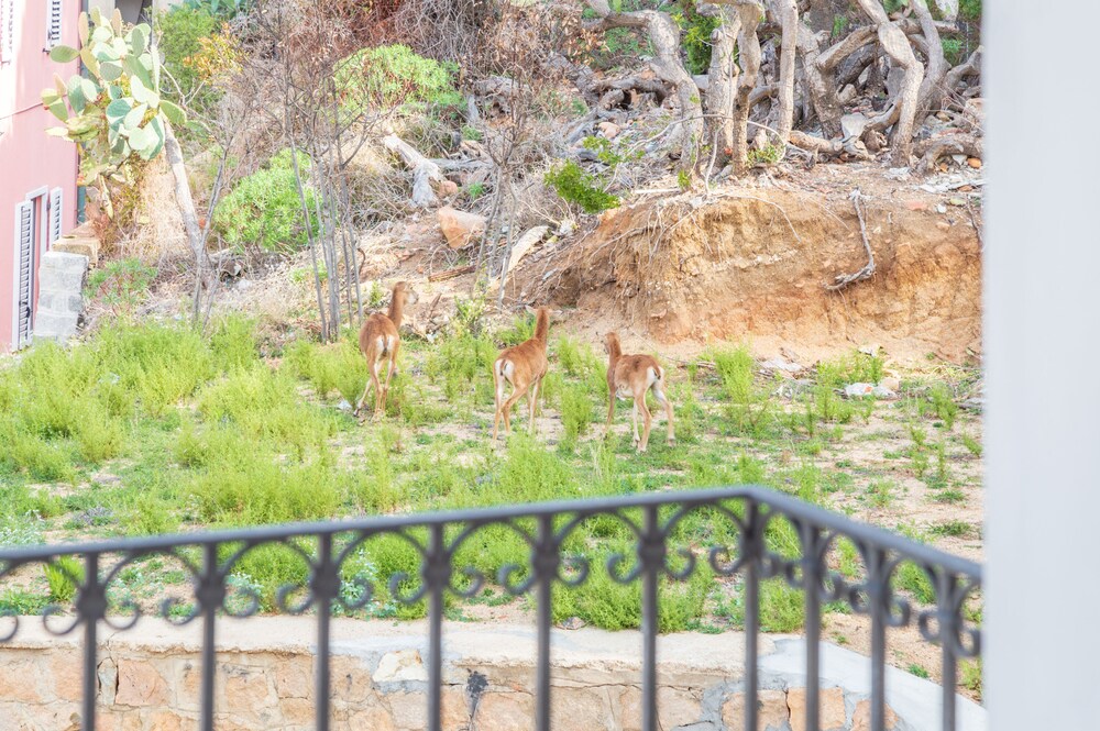 Foto - Raphael Hotel Arbatax