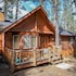 1182-sugar Pine