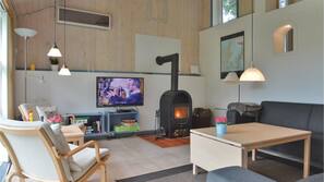 Fernseher, Kamin