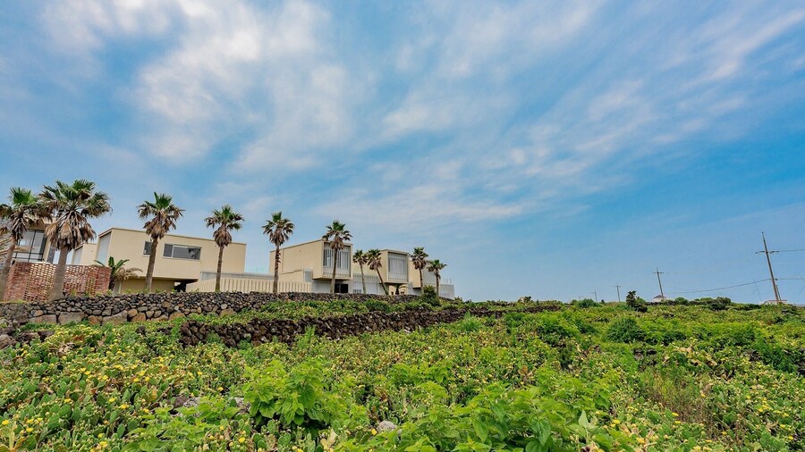 Namib Pool Villa Jeju