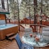 1641 - Timber Wolf Den
