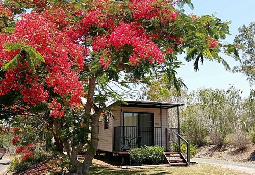 Cabins In Clinton 10 Best Holiday Cabins For 2019 Wotif