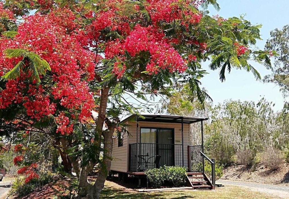 Mt Larcom Tourist Park