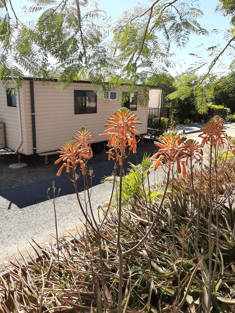 Mt Larcom Tourist Park