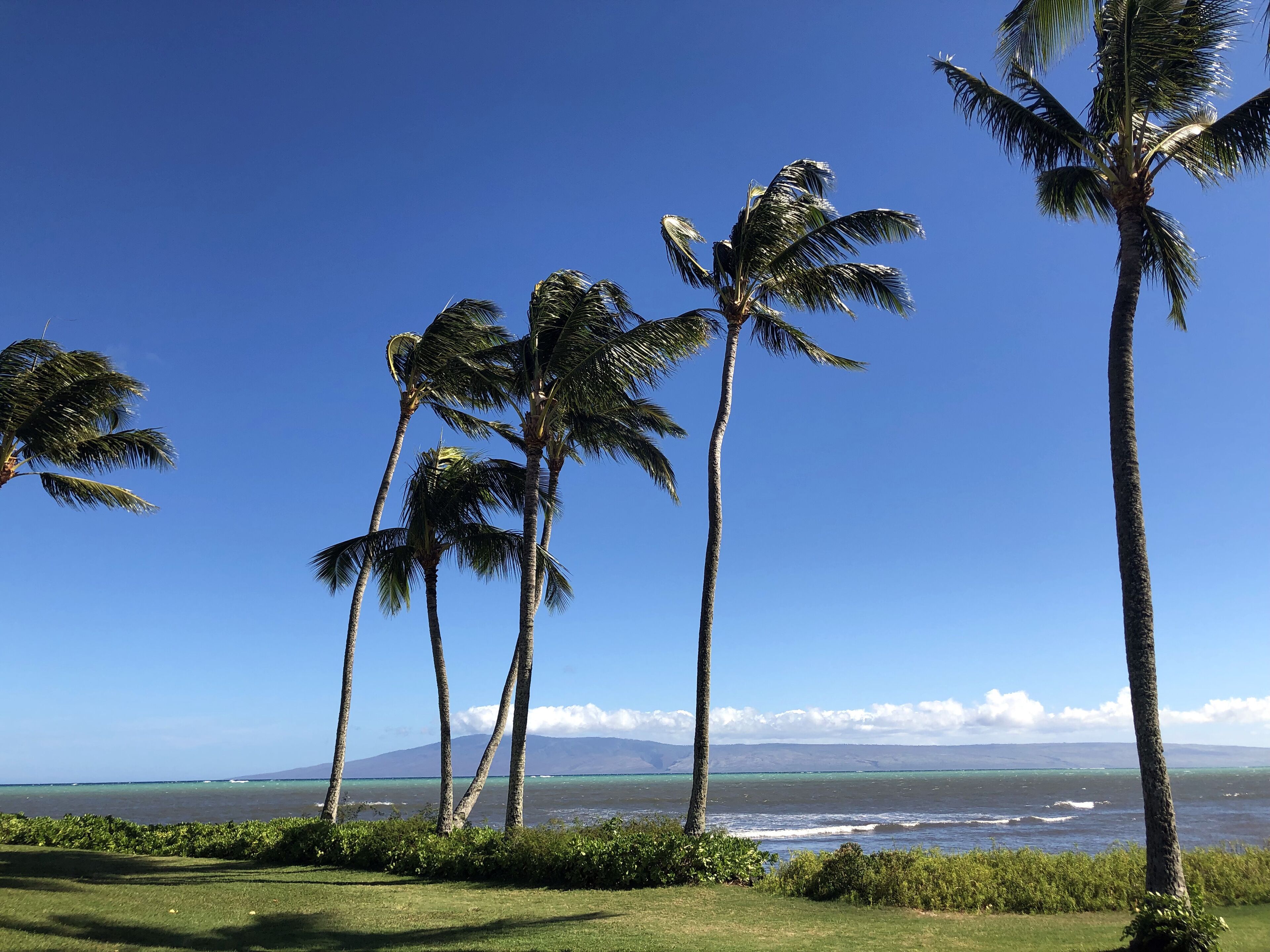 Ocean Front Condo Molokai - Unobstructed Ocean Views and Breezes! in Kaunakakai, United States