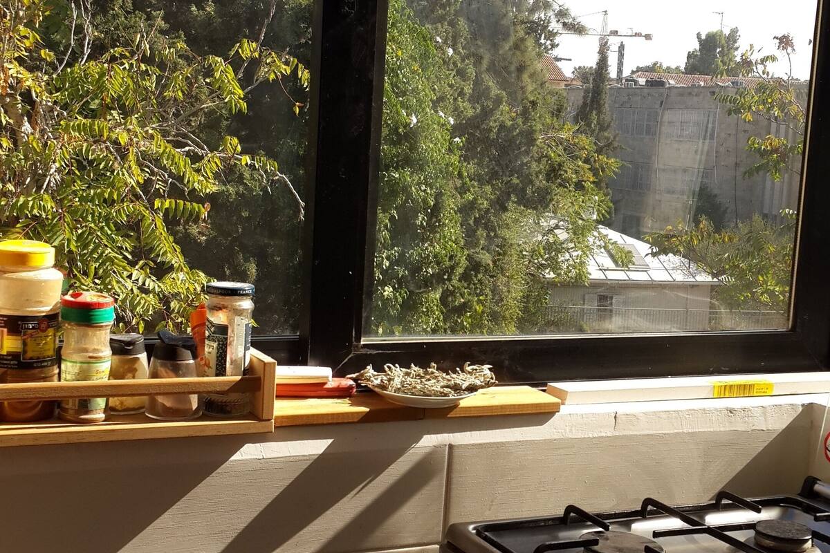 The Best Location In Jerusalem German Colony 4 Rooms Apartment Bezirk Jerusalem Hotelbewertungen 21 Expedia De