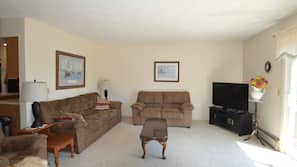 TV, DVD player, video library