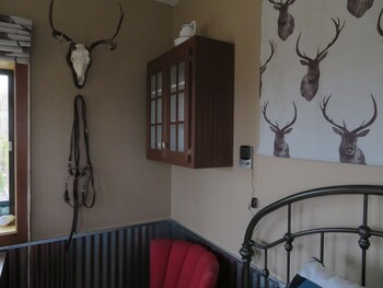 Bills Mountain Cabin Is An Eco Friendly Vacation In An Off Grid