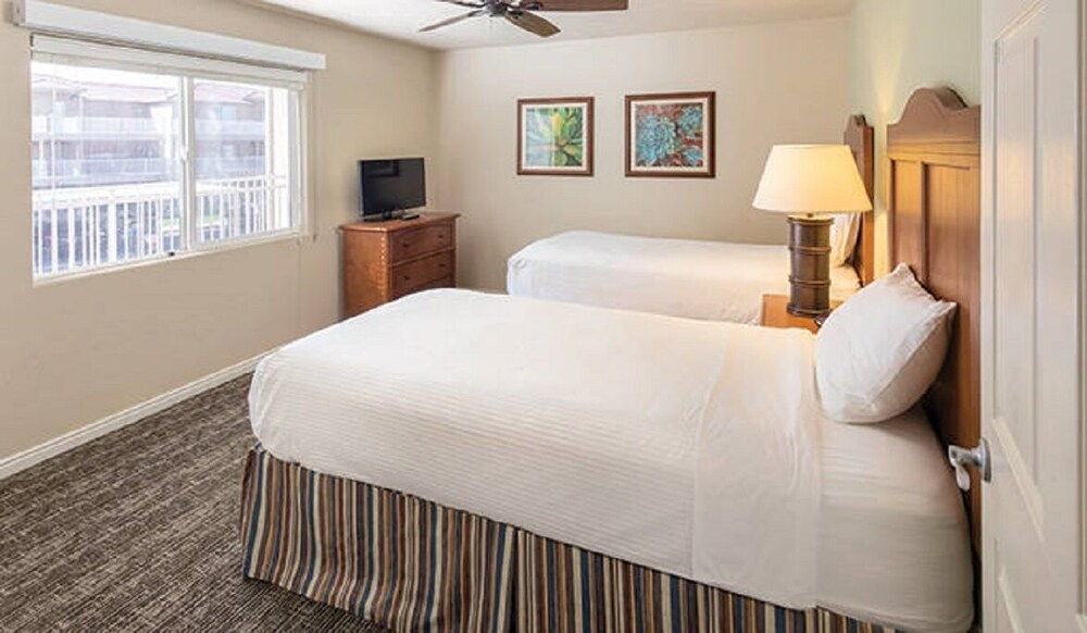 Leave your worries at the door!