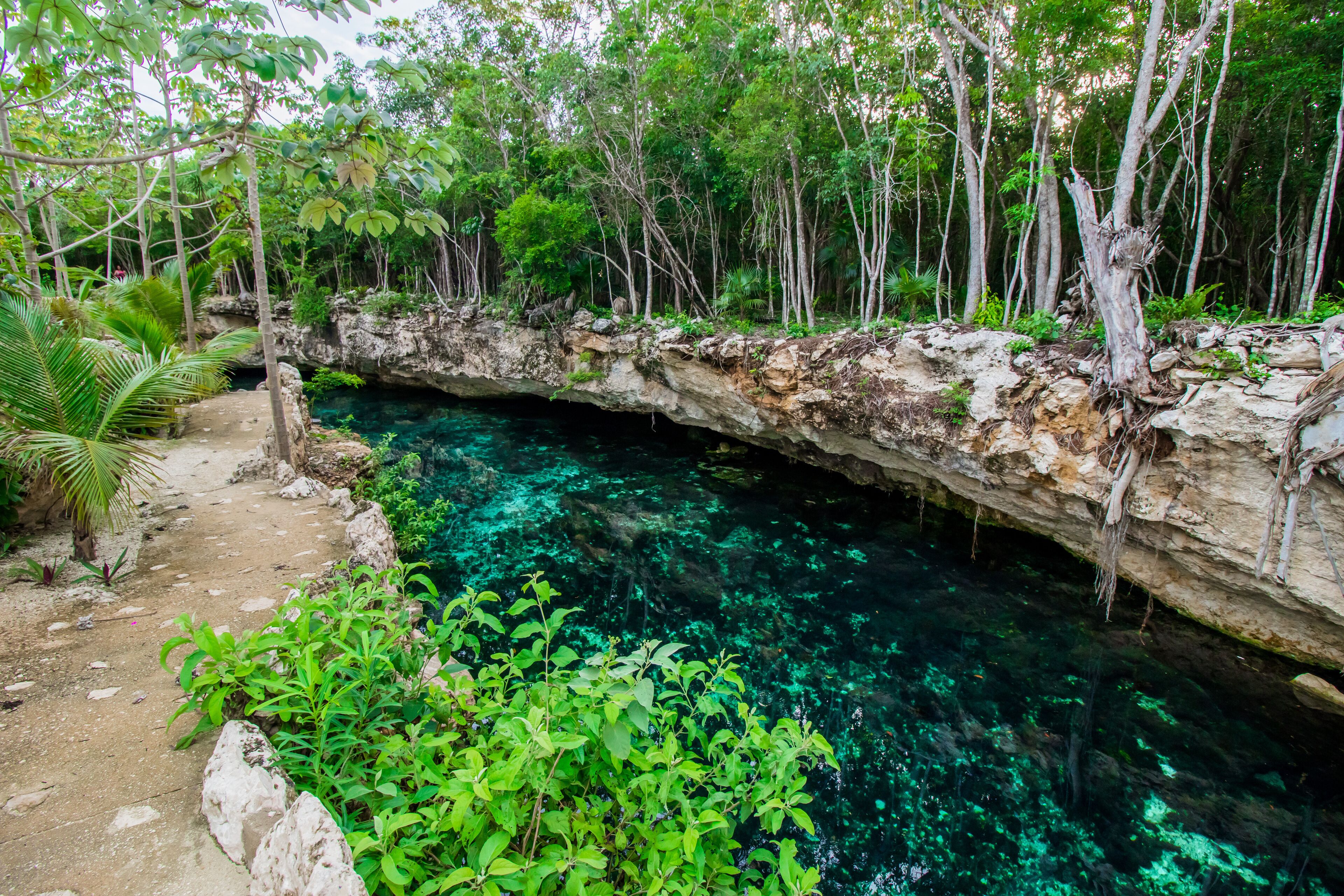 Cenote Casa Tortuga Tulum Precios Promociones Y Comentarios Expedia Com