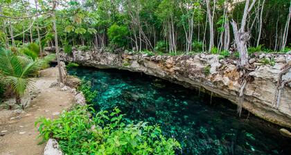 Cenote Casa Tortuga Tulum