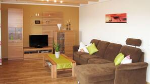 Fernseher, DVD-Player